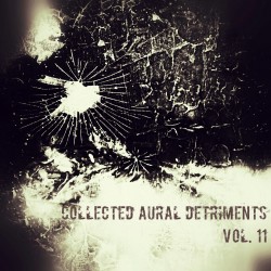 Collected aural detriments vol. 11, on which Like Water by CHC08RM features.
